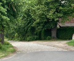 Blick auf den vorderen Lindenweg